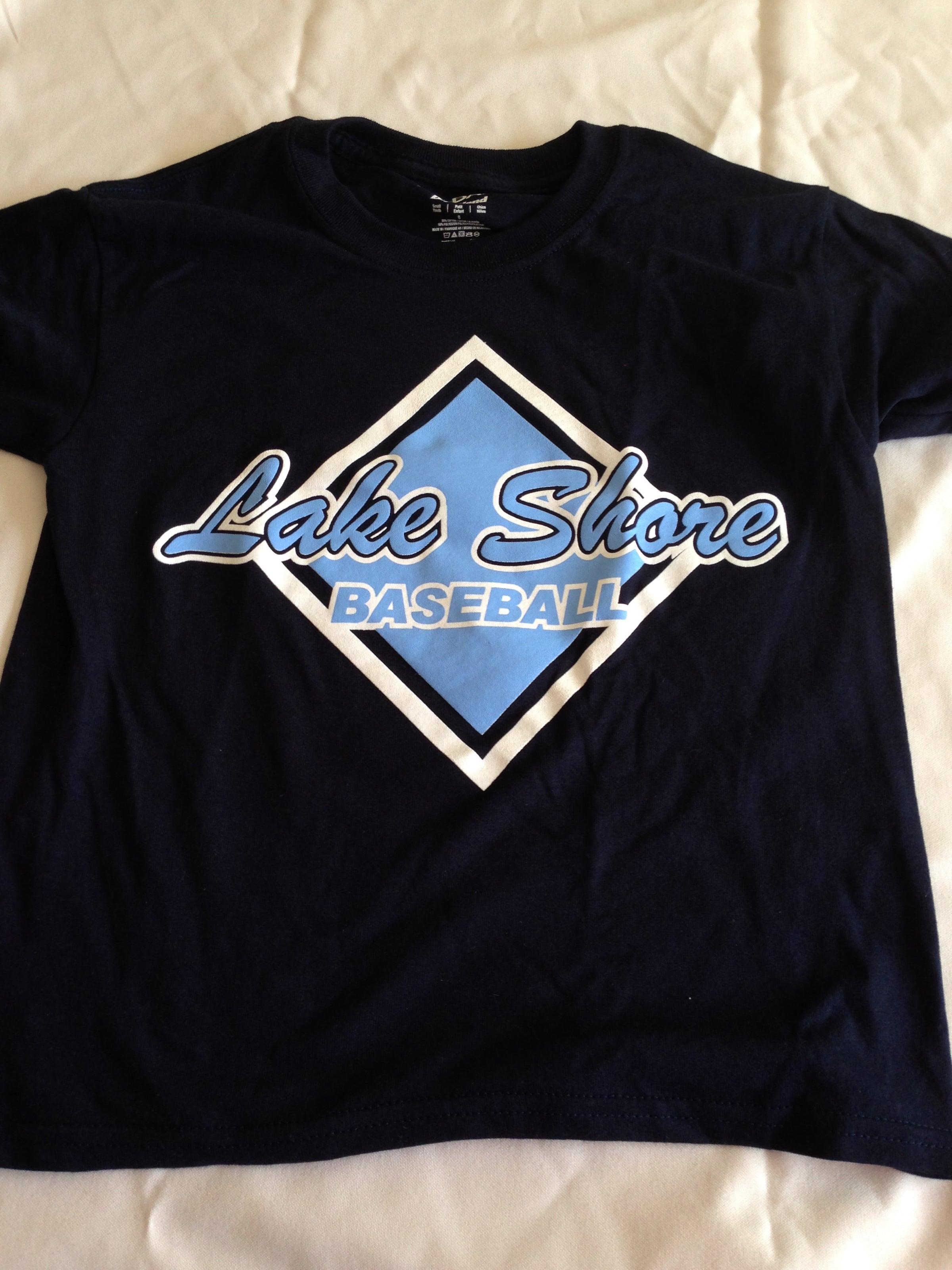 Lake Shore Baseball